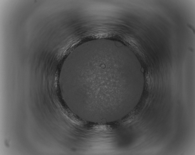 X0000103320499200809121151