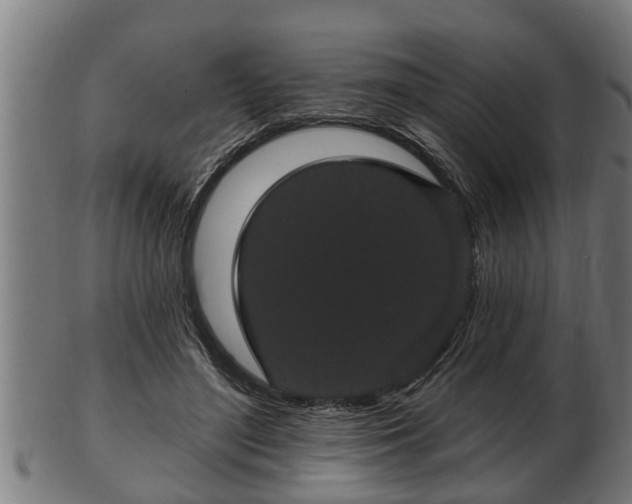 X0000103320500200809121151