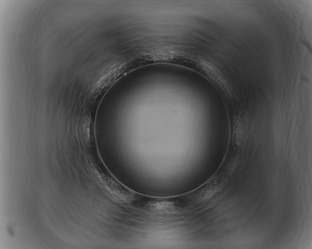 X0000103320501200809121151