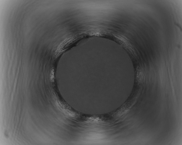 X0000103320502200809121151