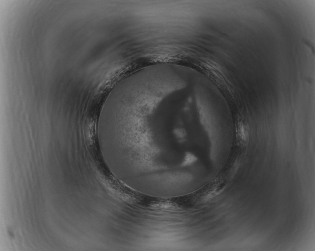 X0000103320503200809121151