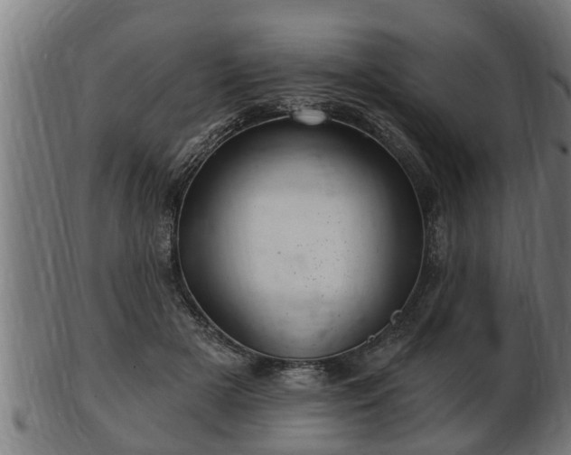 X0000103320505200809121151