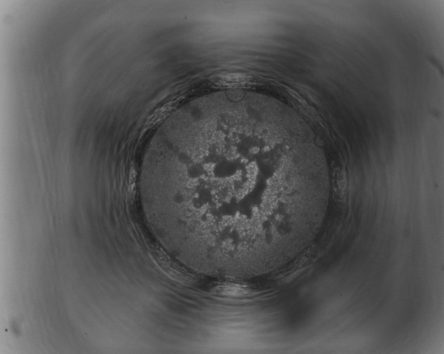 X0000103320507200809121151