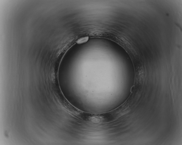 X0000103320508200809121151