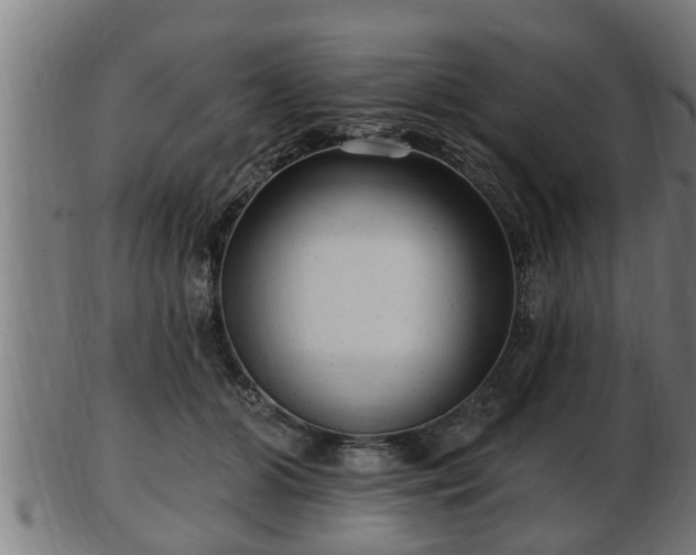 X0000103320510200809121151