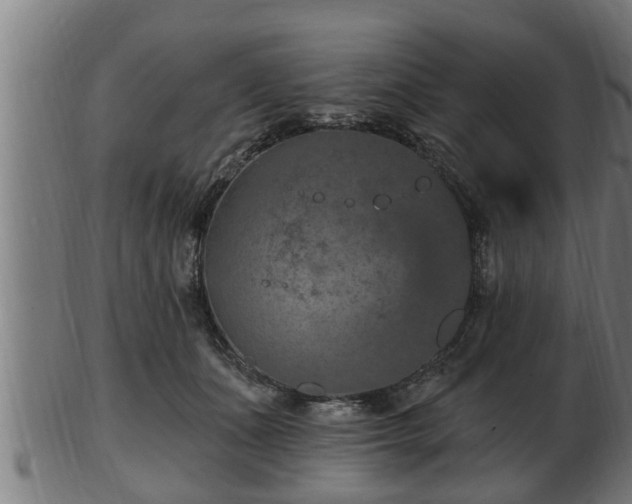 X0000103320511200809121151