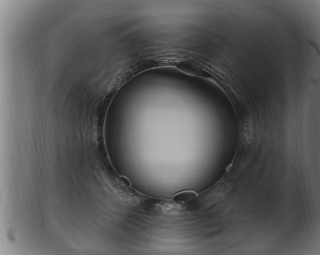 X0000103320512200809121151