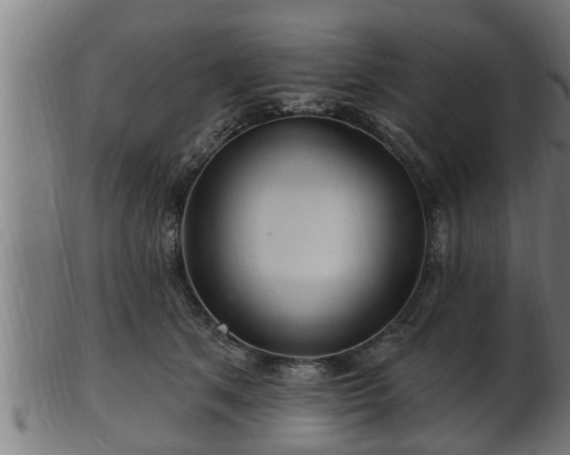 X0000103320513200809121151