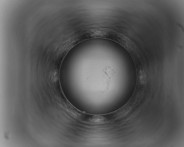 X0000103320514200809121150