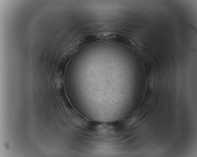 X0000103320515200809121150