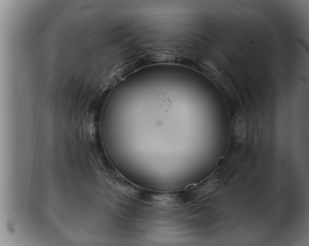 X0000103320516200809121150