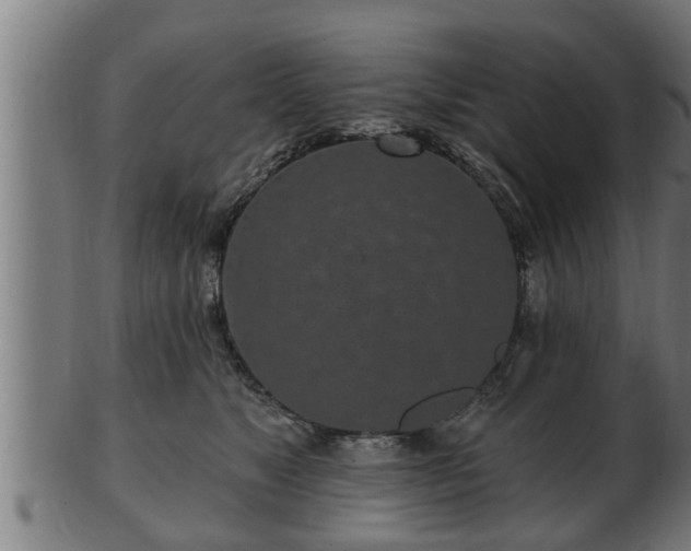 X0000103320517200809121150