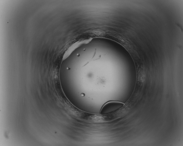 X0000103320518200809121150