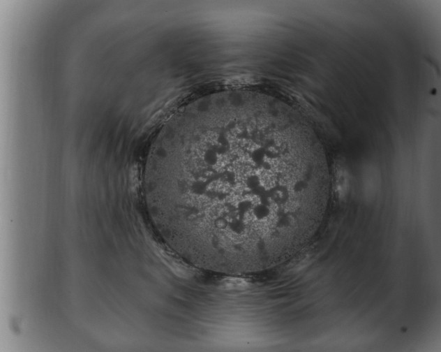 X0000103320519200809121150