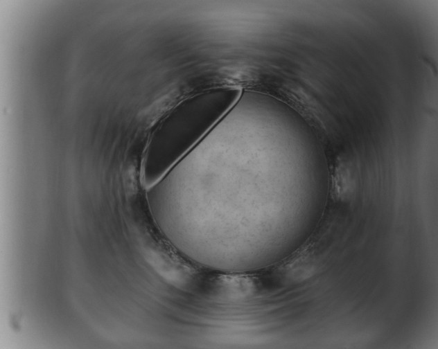 X0000103320520200809121150