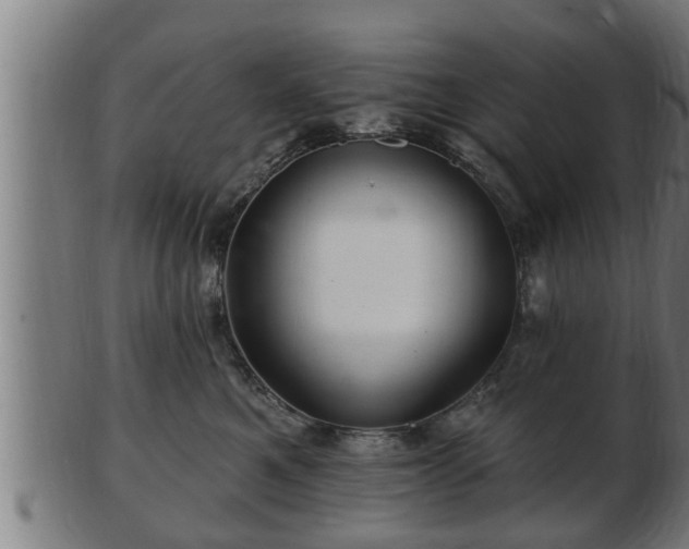 X0000103320521200809121150