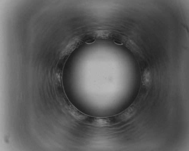 X0000103320522200809121150