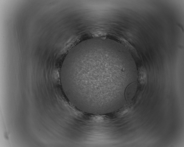 X0000103320523200809121150