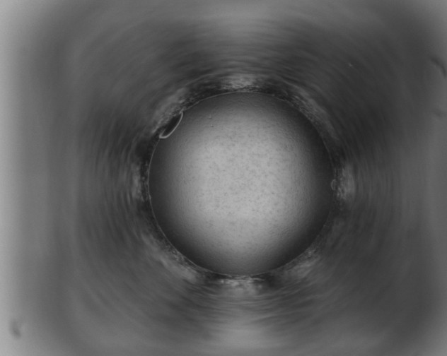 X0000103320524200809121150