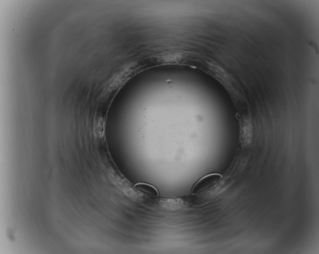 X0000103320525200809121150