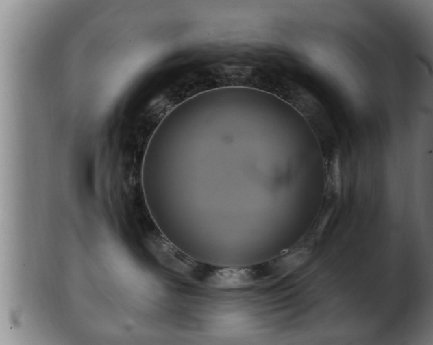 X0000103320526200809121150