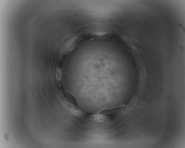 X0000103320528200809121150