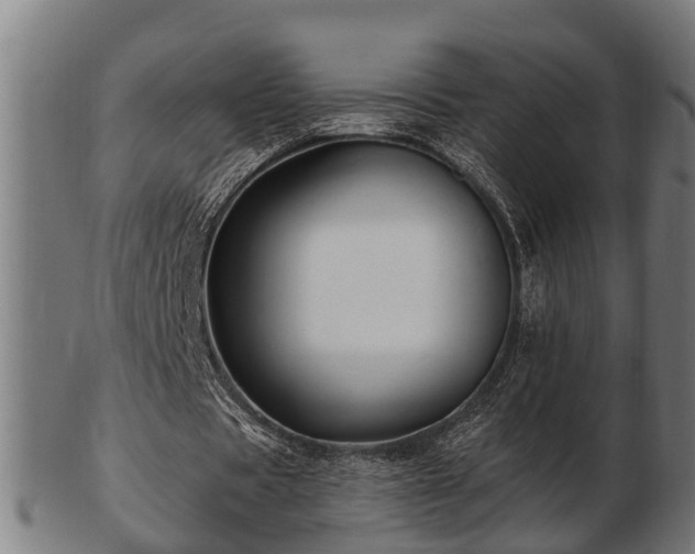 X0000103320529200809121150