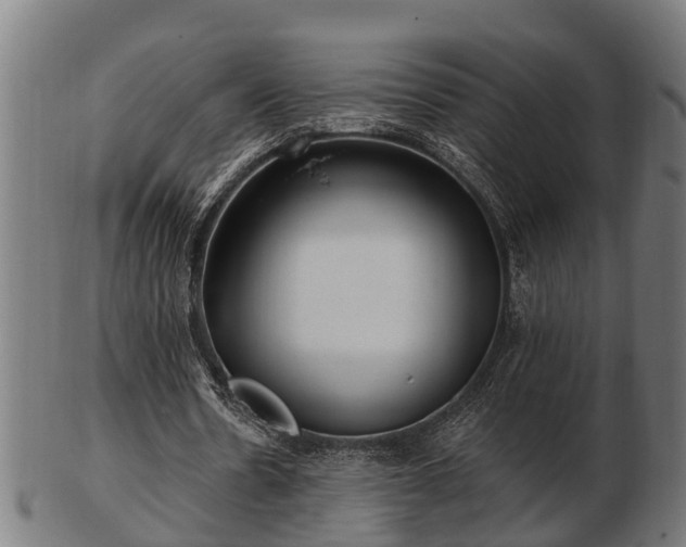 X0000103320530200809121150