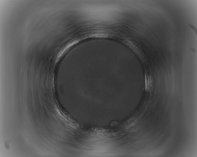 X0000103320531200809121150