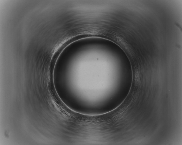 X0000103320532200809121150