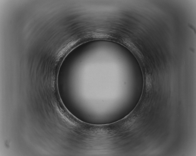 X0000103320533200809121150