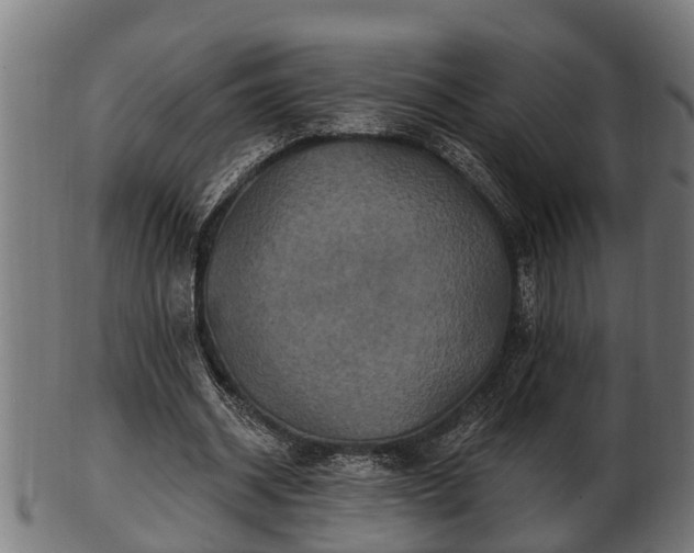 X0000103320534200809121150