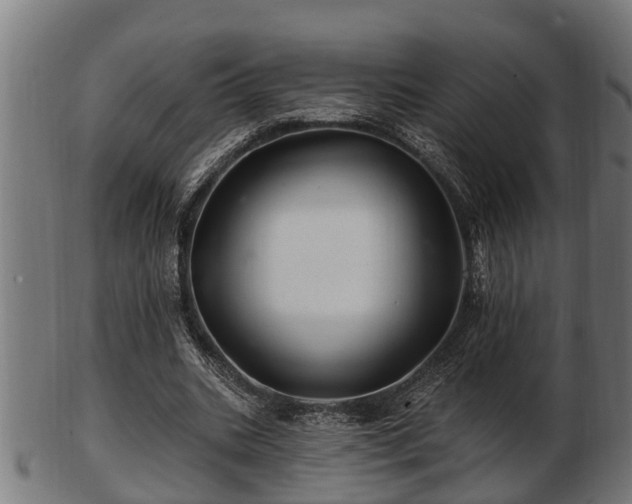 X0000103320535200809121150