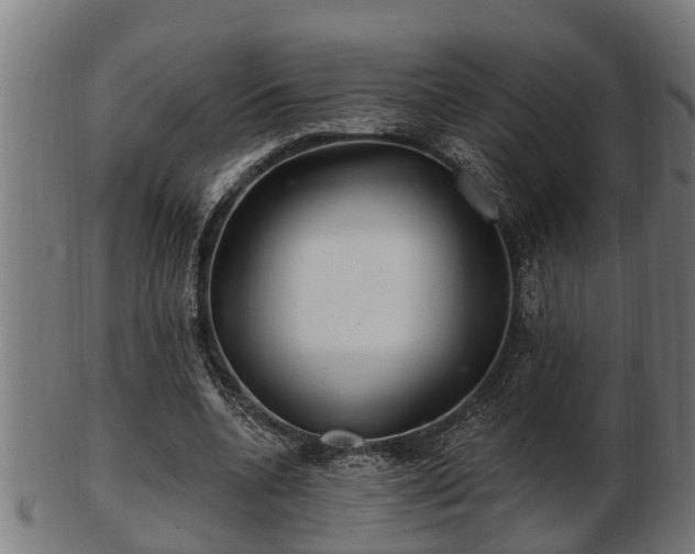 X0000103320536200809121150