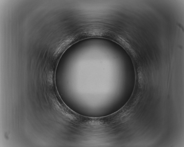 X0000103320537200809121150