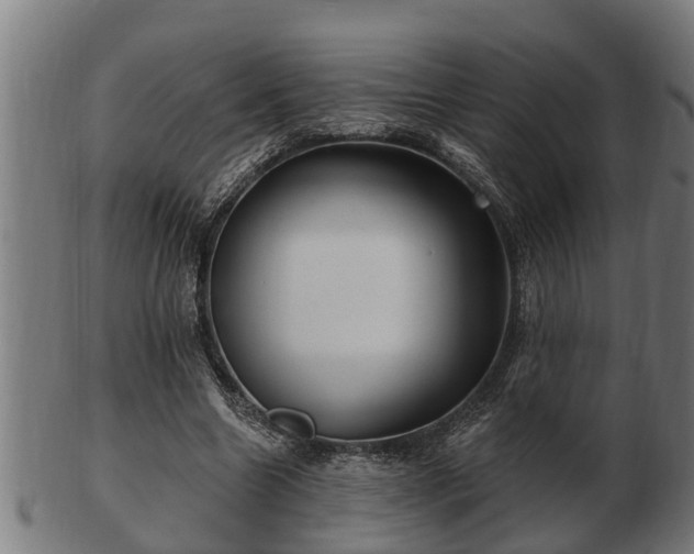 X0000103320538200809121150