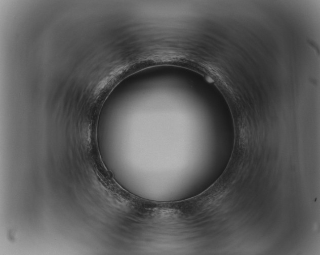 X0000103320539200809121150