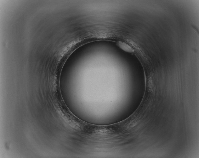 X0000103320540200809121150