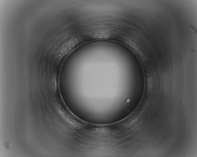 X0000103320541200809121150