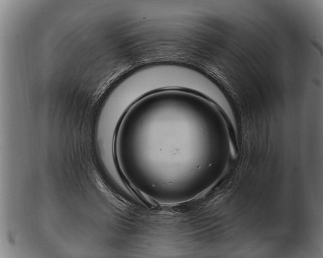 X0000103320542200809121150