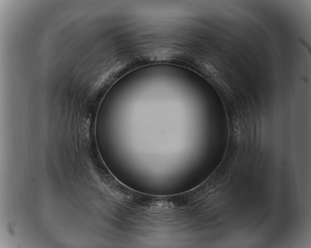 X0000103320543200809121150