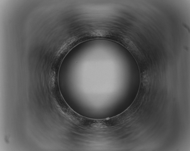 X0000103320544200809121150