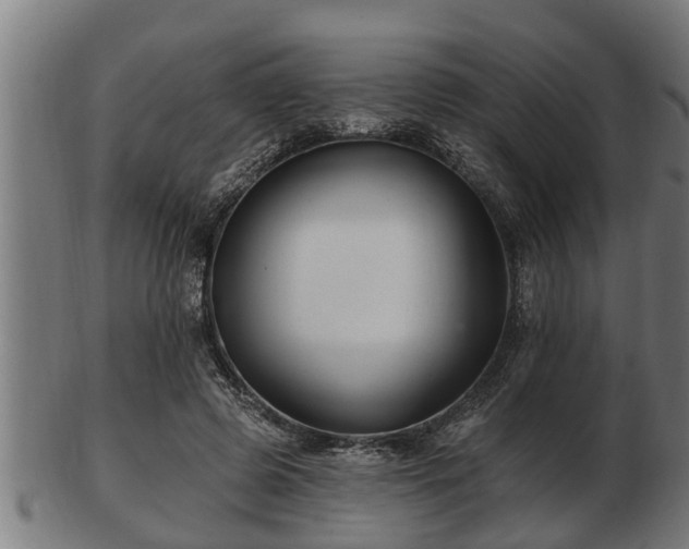 X0000103320545200809121150