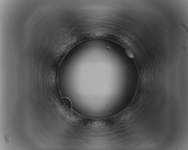 X0000103320546200809121150