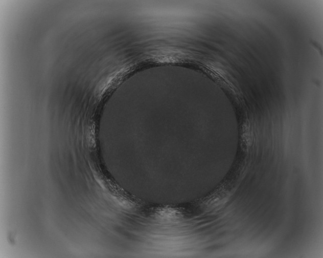 X0000103320547200809121150