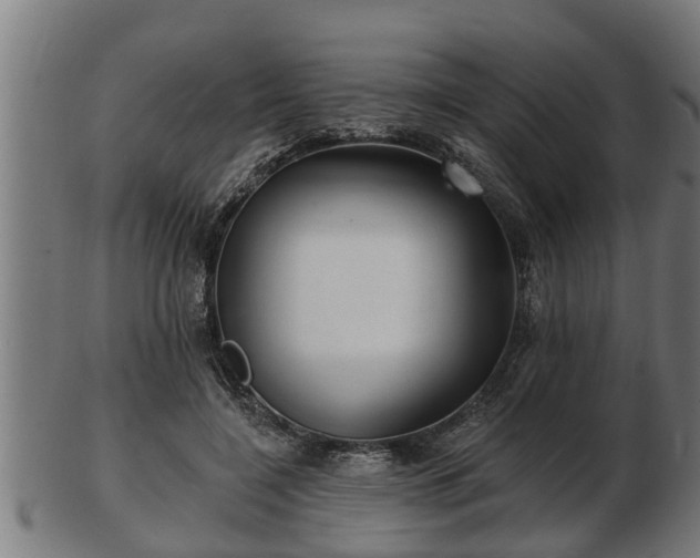 X0000103320548200809121150