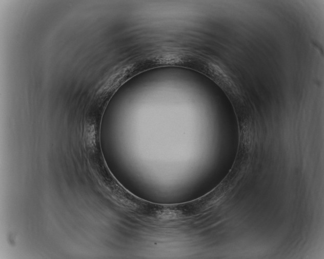 X0000103320549200809121150