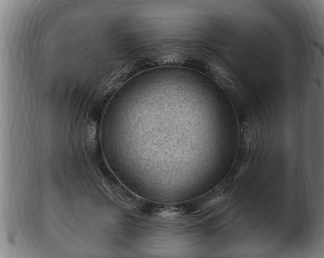 X0000103320550200809121150