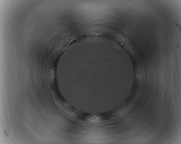 X0000103320551200809121150