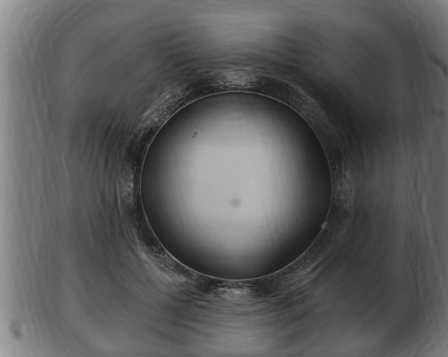 X0000103320552200809121150